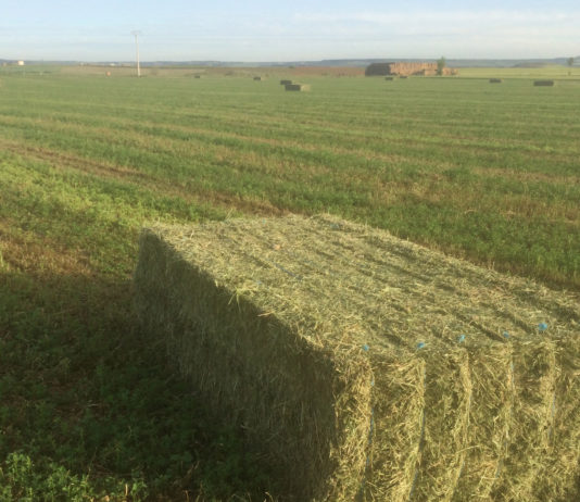 Se venden 15,04 derechos de la Región 7 Paquete paja