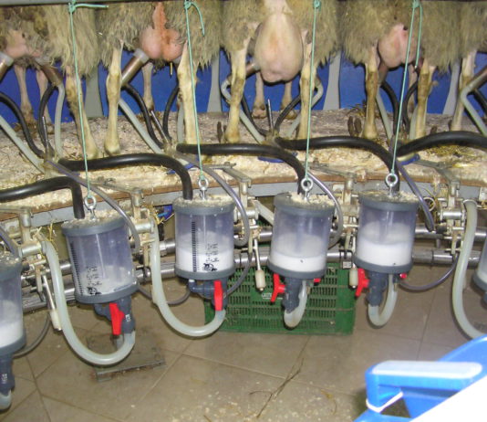 ASAJA Valladolid organiza una jornada sobre gestión de Empresas Ganaderas ASAJA Valladolid organiza una jornada sobre gestión de Empresas Ganaderas