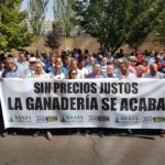 Manifestación Salvemos el Ovino por el ovino