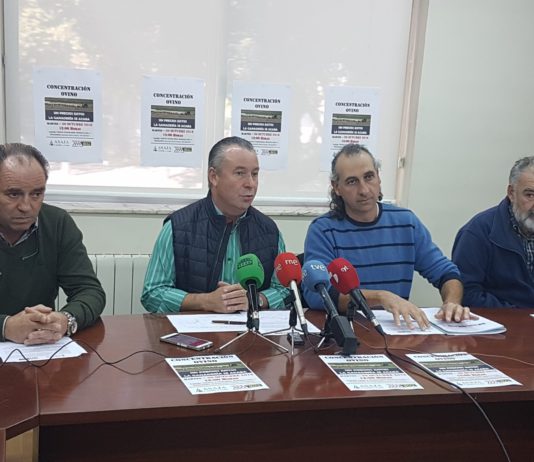 Los ganaderos de ovino saldrán de nuevo a la calle este martes 30 de octubre Los ganaderos de ovino saldrán de nuevo a la calle este martes 30 de octubre