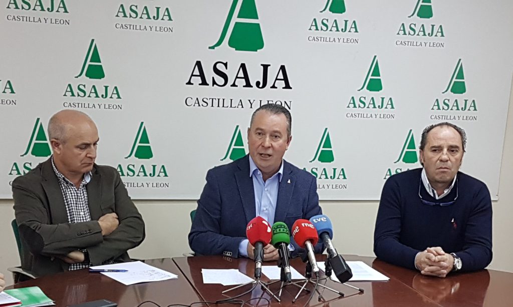 2018: un año de transición y de inacción política