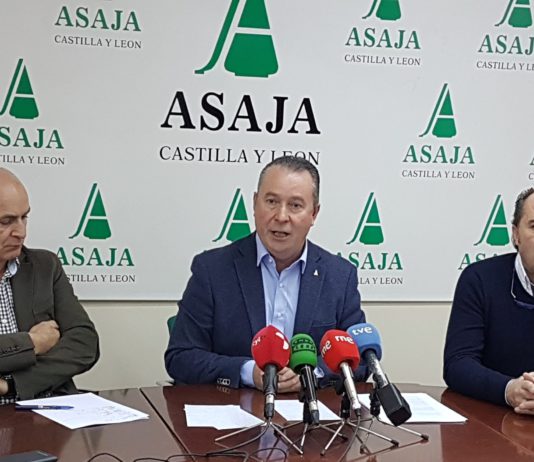 2018: un año de transición y de inacción política 2018: un año de transición y de inacción política