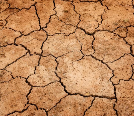 Requisitos para optar a los prestamos por sequía Requisitos para optar a los prestamos por sequía