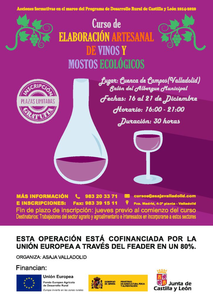 Curso de elaboración artesanal de vinos y mostos ecológicos en Cuenca