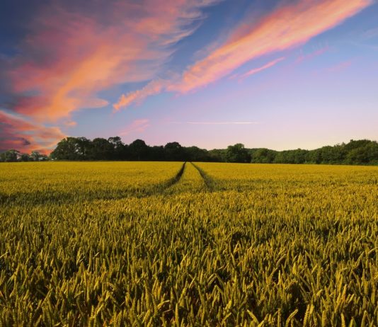 Jornada sobre el contrato de arrendamiento rústico Jornada sobre el contrato de arrendamiento rústico