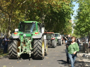 El 11 de marzo, todos a la Plaza de Colón en Valladolid