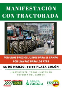 El 11 de marzo, todos a la Plaza de Colón en Valladolid