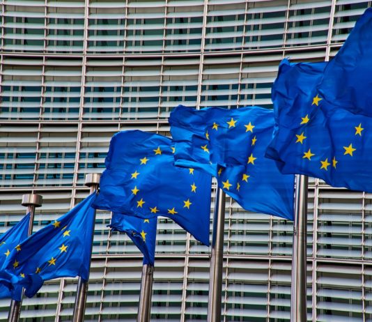 La Comisión cede a las presiones ecologistas y asesta un duro golpe a la agricultura europea La Comisión cede a las presiones ecologistas y asesta un duro golpe a la agricultura productiva europea