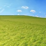 Curso gratuito de Fitosanitarios Nivel Puente Se está dejando pasar una oportunidad única para apoyar al medio rural y evitar la despoblación