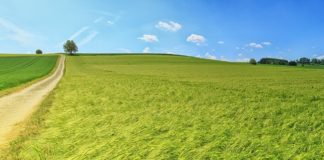 Vendo 100 derechos de la Región 2 a buen precio. Se está dejando pasar una oportunidad única para apoyar al medio rural y evitar la despoblación