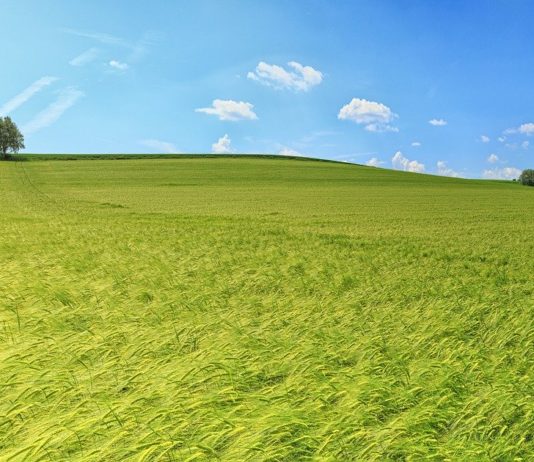 Se está dejando pasar una oportunidad única para apoyar al medio rural y evitar la despoblación Se está dejando pasar una oportunidad única para apoyar al medio rural y evitar la despoblación