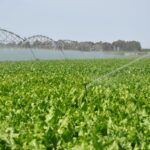 ASAJA Valladolid organiza en Tordesillas una Jornada sobre Previsión de Riego y Tarifas Eléctricas ASAJA Valladolid organiza en Tordesillas una Jornada sobre Previsión de Riego y Tarifas Eléctricas