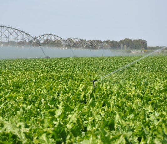 ASAJA Valladolid organiza en Tordesillas una Jornada sobre Previsión de Riego y Tarifas Eléctricas ASAJA Valladolid organiza en Tordesillas una Jornada sobre Previsión de Riego y Tarifas Eléctricas
