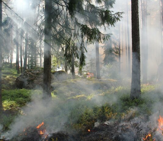 Campaña de ayuda de ASAJA VALLADOLID para los ganaderos afectados por los incendios de Zamora