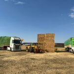 3-En-las-proximas-fechas-saldran-mas-camiones-con-paja-hasta-llegar-a-un-total-de-10