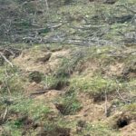 Cigales-y-Tordesillas-son-la-Zona-Cero-en-la-Provincia-de-Valladolid