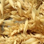 Se venden 1,26 derechos de la Región 7 Se venden 1,26 derechos de la Región 7