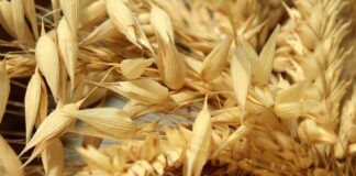 Vendo 30 derechos PAC Región 1 Se venden 1,26 derechos de la Región 7