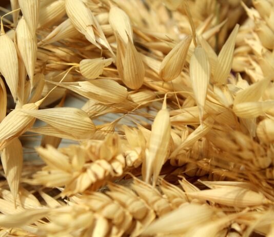 Se venden 1,26 derechos de la Región 7 Se venden 1,26 derechos de la Región 7