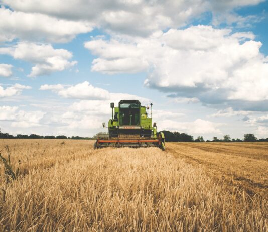 Curso de incorporación a la empresa agraria online – 5 de septiembre de 2024 Se venden 164 derechos de la Región 1. Los interesados pueden contactar en el siguiente número de teléfono: 606 71 19 61