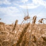 Se venden 10 derechos de la Región 1 Se venden 10 derechos de la Región 1. Los interesados pueden contactar con José en el siguiente número de teléfono: 667 23 46 74