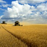 Se venden 2,35 derechos de la Región 1 y 3,66 de la Región 7