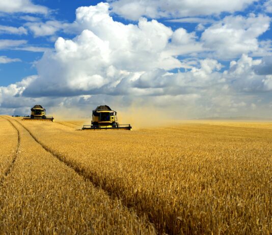 Se venden 2,35 derechos de la Región 1 y 3,66 de la Región 7