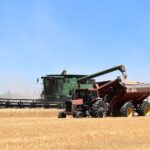 Compro 9 derechos de la Región 1 Se venden 5 derechos de la Región 1. Para más información contactar con Santiago, el teléfono de contacto es: 615 35 21 82.