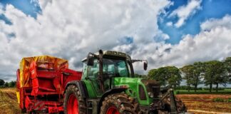 Se busca tractorista para finca Agrícola en Tudela de Duero Se compran 5 derechos de la Región 1. Para más información contactar con el número de teléfono: 609 44 75 33.