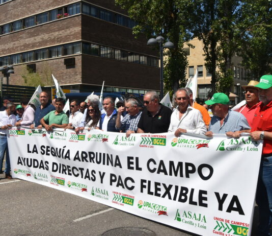 Agricultores y ganaderos de Castilla y León se manifiestan frente a Consejería y Gobierno para exigir ayudas urgentes por la sequía