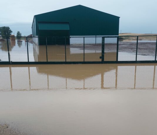 ASAJA Valladolid denuncia el lamentable estado de algunas regueras por parte de la CHD Imagen de una de las instalaciones agrícolas afectadas por la lluvia de este jueves en Medina de Rioseco