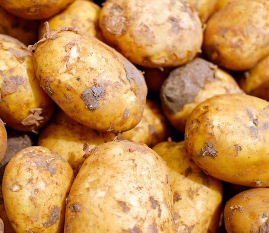 ASAJA Valladolid alerta sobre la entrada masiva de patata francesa al inicio de la campaña de recogida de la tardía de nuestro país ASAJA Valladolid alerta sobre la entrada masiva de patata francesa al inicio de la campaña de recogida de la tardía de nuestro país