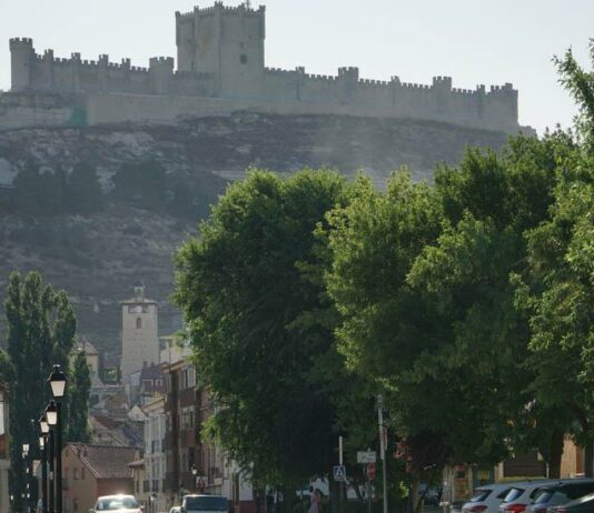 Peñafiel acogerá este lunes 27 de noviembre una jornada sobre la PAC y el Kit Digital Peñafiel acogerá este lunes 27 de noviembre una jornada sobre la PAC y el Kit digital