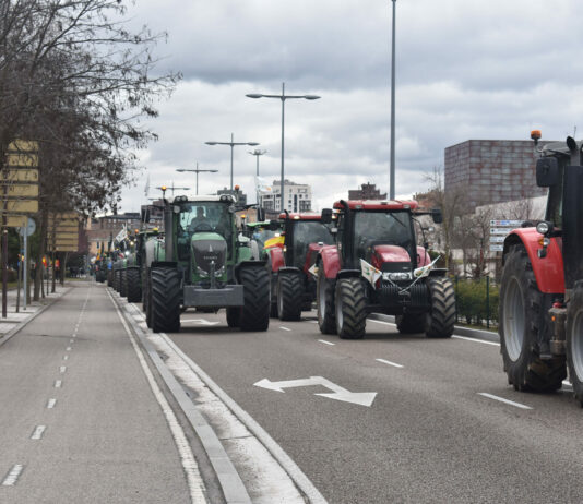 ASAJA Valladolid pide al Ministerio una mayor defensa del sector productivo y que aclare su postura en cuestiones claves para 2024 ASAJA Valladolid pide al Ministerio una mayor defensa del sector productivo y que aclare su postura en cuestiones claves para 2024