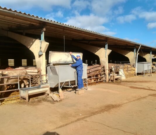 ASAJA Valladolid respalda la decisión de la Junta de permitir a veterinarios privados efectuar saneamientos ganaderos ASAJA Valladolid respalda la decisión de la Junta de permitir a veterinarios privados efectuar saneamientos ganaderos