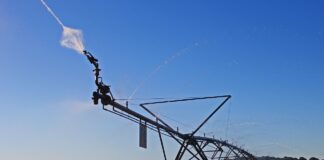 Se venden 2,75 derechos PAC Región 1