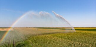Vendo 21 derechos de la Región 1 tractorada contra la CHD en valladolid