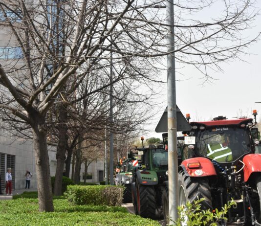 ASAJA Valladolid lamenta la ruptura de la “Unidad de Acción” tras la firma del acuerdo de mínimos de Planas por parte de UCCL y UPA ASAJA Valladolid lamenta la ruptura de la “Unidad de Acción” tras la firma del acuerdo de mínimos de Planas por parte de UCCL y UPA