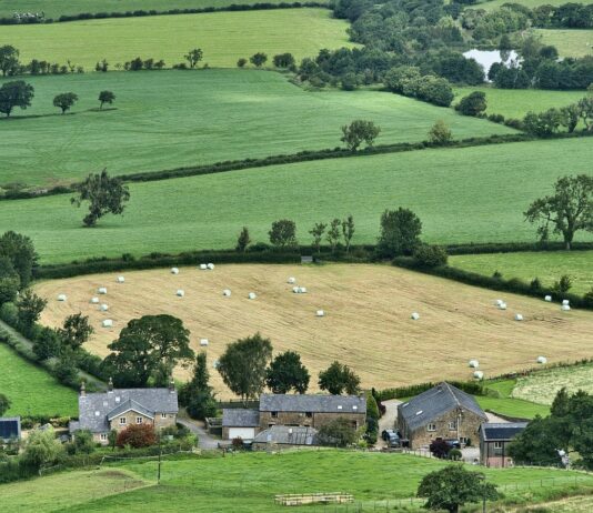 Devolución IBI Rústico Devolución IBI Rústico