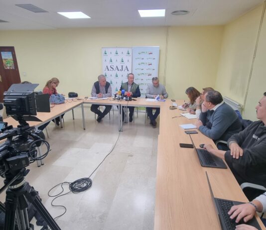 Los agricultores de Castilla y León protestarán el próximo viernes en Arévalo por los ruinosos precios del cereal Los agricultores de Castilla y León protestarán el próximo viernes en Arévalo