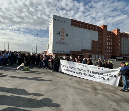 Los agricultores de Castilla y León se manifiestan en Arévalo y anuncian que seguirán en la calle Los agricultores de Castilla y León se manifiestan en Arévalo y anuncian que seguirán en la calle