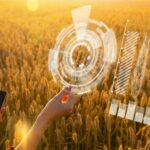 El Gobierno aprueba la norma que establece la voluntariedad del cuaderno digital de explotación