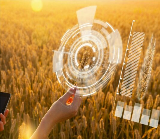 El Gobierno aprueba la norma que establece la voluntariedad del cuaderno digital de explotación