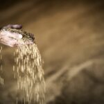 Los agricultores elevan su protesta contra los precios de derribo del cereal con una concentración a las puertas de la planta de Babilafuente AgroEmprende, un servicio técnico de asesoramiento y apoyo de ASAJA a emprendedores rurales.