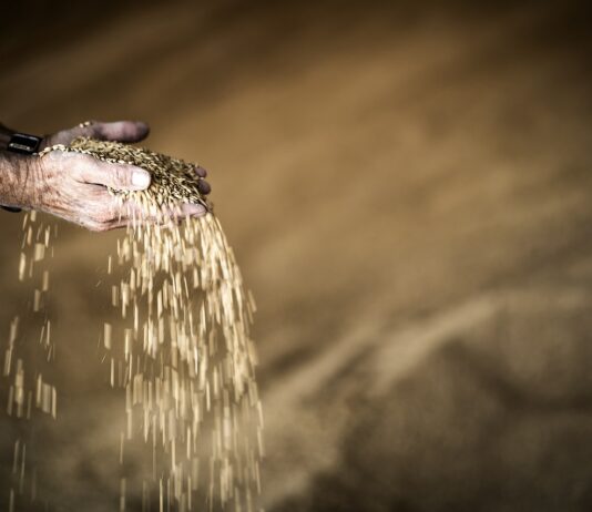 AgroEmprende, un servicio técnico de asesoramiento y apoyo de ASAJA a emprendedores rurales AgroEmprende, un servicio técnico de asesoramiento y apoyo de ASAJA a emprendedores rurales.