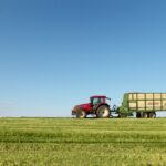 Se venden 31 derechos de la Región 7 Vendo 31 derechos de la Región 7 Interesado contactar con el siguiente número de teléfono 615 69 47 47.