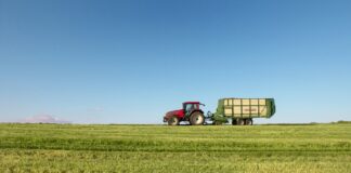 Se compran derechos de las regiones 1, 2 y 7 Vendo 31 derechos de la Región 7 Interesado contactar con el siguiente número de teléfono 615 69 47 47.