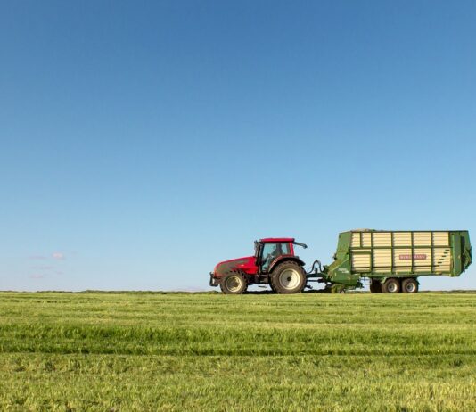 Se venden 31 derechos de la Región 7 Vendo 31 derechos de la Región 7 Interesado contactar con el siguiente número de teléfono 615 69 47 47.
