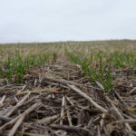 ASAJA Valladolid lanza un curso online de Conservación del suelo ASAJA Valladolid lanza un curso online de Conservación del suelo