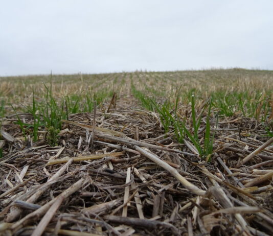 ASAJA Valladolid lanza un curso online de Conservación del suelo ASAJA Valladolid lanza un curso online de Conservación del suelo